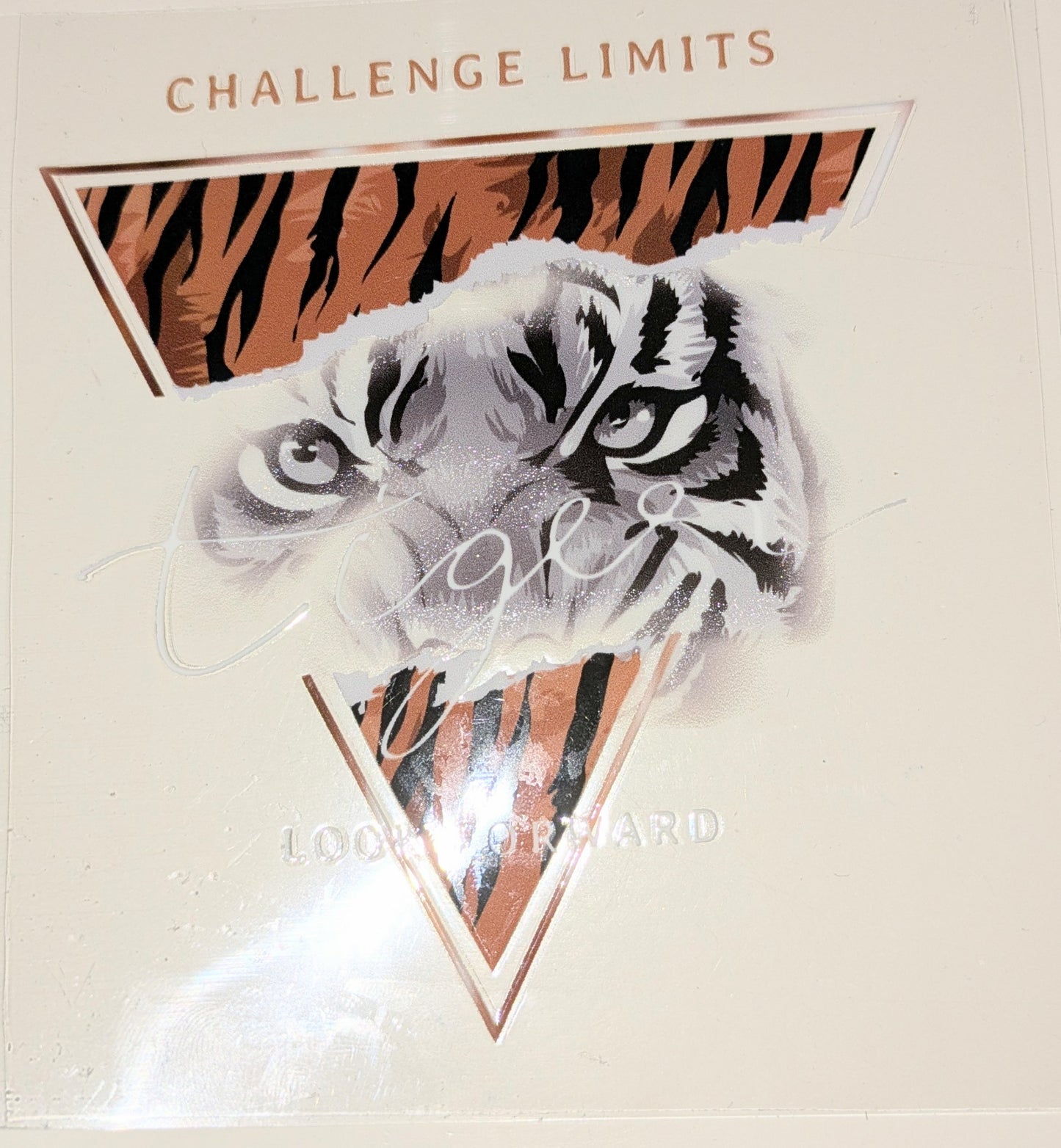 4 inch Sticker Tiger IS000052