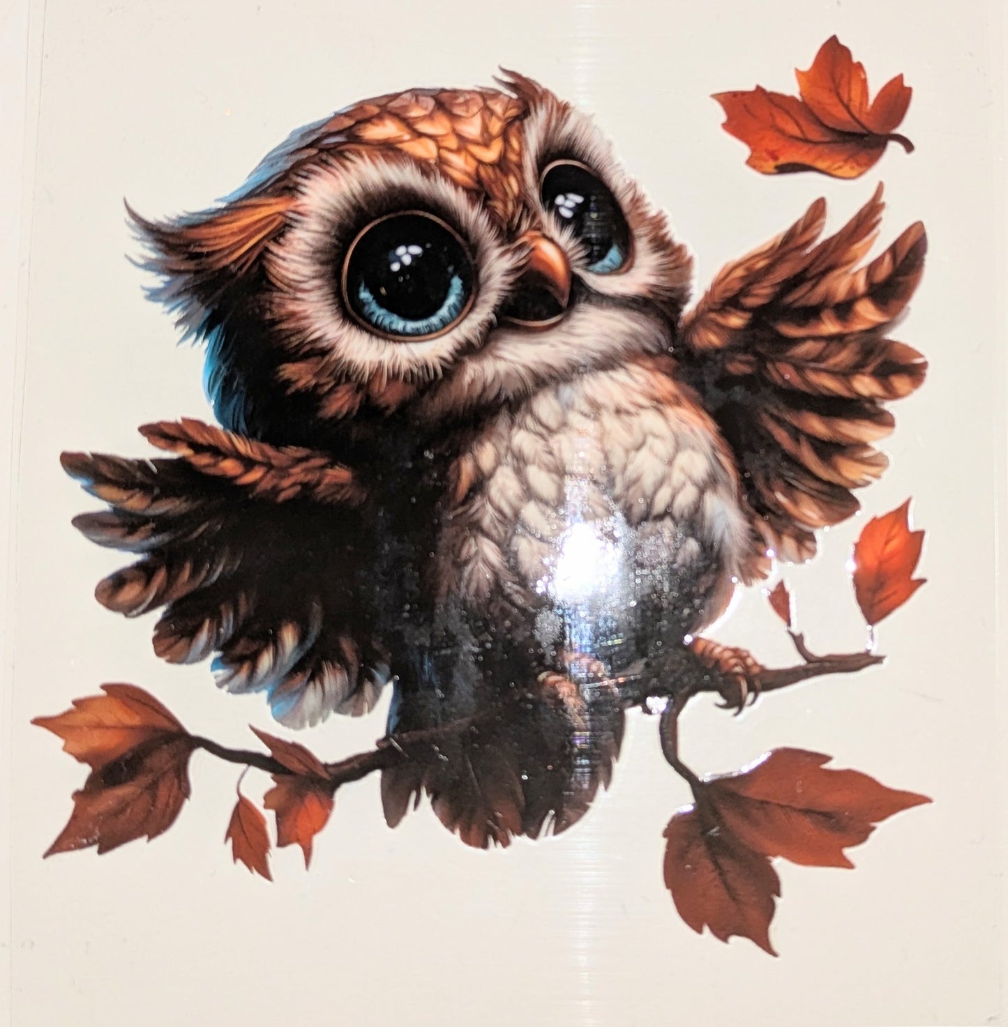 4 inch Sticker Eule IS000034