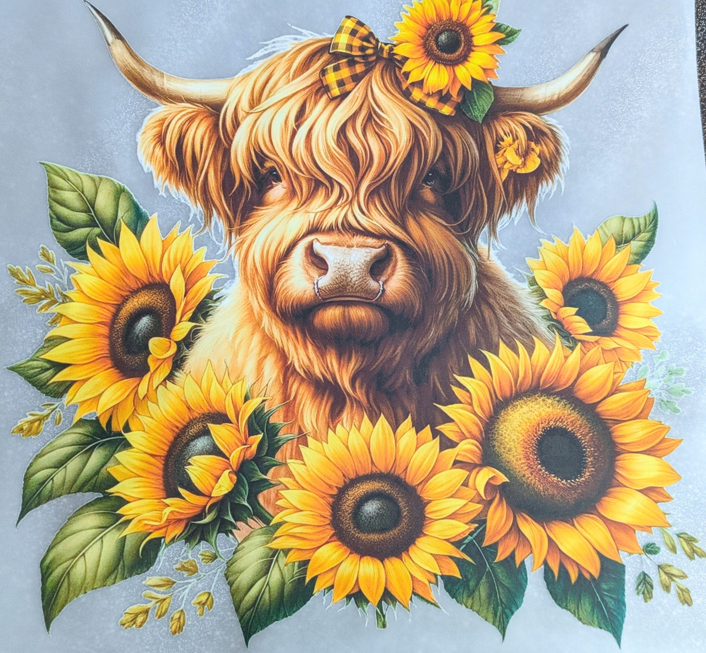 Bügelbild Gr.L " Hochlandrind Sonnenblumen " GBB000027