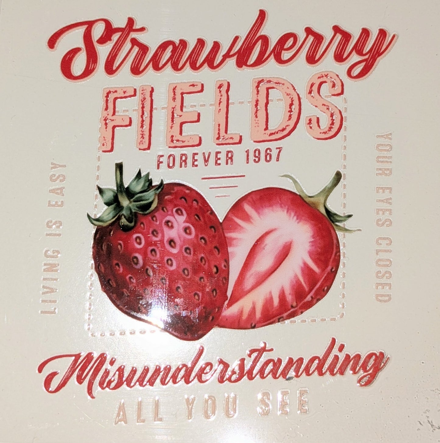 4 inch Sticker Erdbeer IS000070